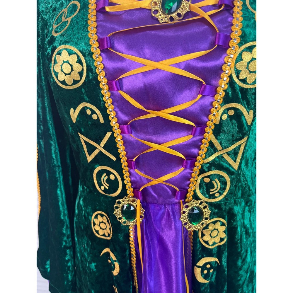 Hocus Pocus Winifred Sanderson Halloween Cosplay Velvet Medieval Gown Medium - Picture 6 of 16